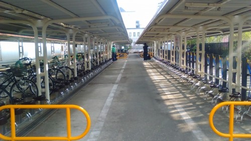 seishinchuo